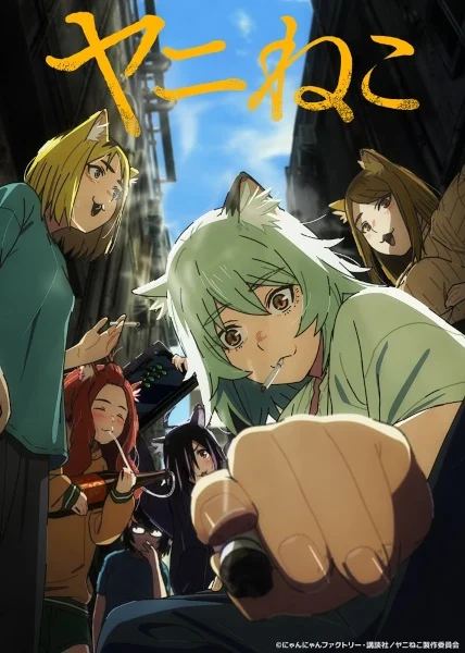 مشاهدة انمي Yani Neko الحلقة 12 مترجمة والاخيرة